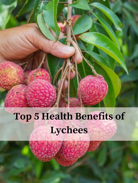 Top 5 Health Benefits Of Lychees