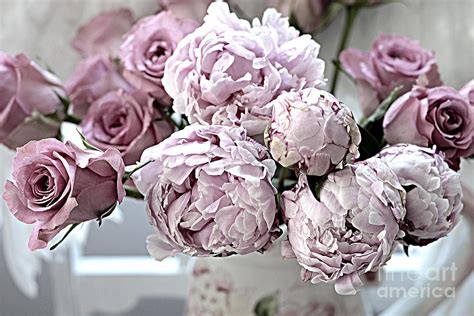 Paris Vintage Style Peonies Art Parisian French Peonies And Roses