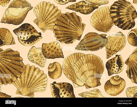 Seashells Seamless Background Stock Vector Image Art Alamy