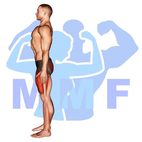 Rear Lunge: A Conventional Leg Exercise For Unconventional Results