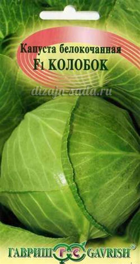 Лучшие сорта капусты: отзывы, фото, описание и характеристика
