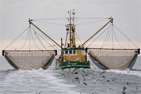 Financing Available For Frozen Fish Processors 2013