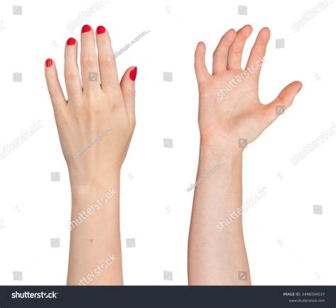 thousand hand reaching  front view royalty  images stock