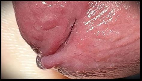 White Cock Is Stroked To Climax German Gay Amateur Porn XHamster