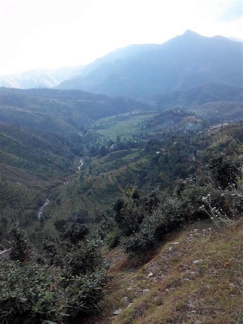 Bhatt Society Pali, Baitadi