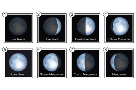 Imagenes De Las Fases De La Luna Fase Lunar Imagenes Fotos De Stock Y
