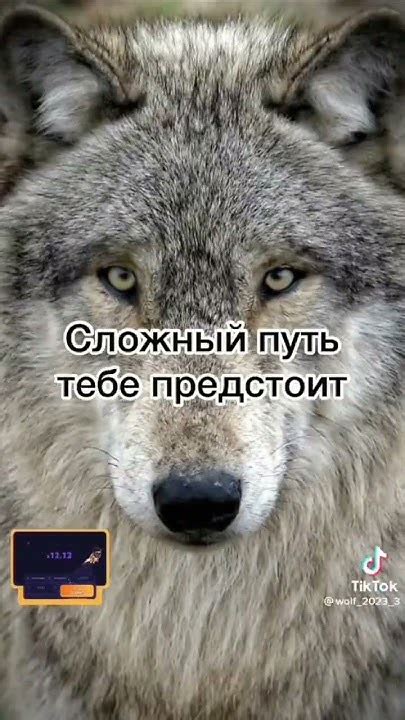 безумно можно быть первым - YouTube
