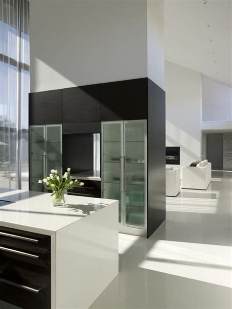 Modern Kitchen Cabinet Doors Home Design Ideas, Pictures, Remodel and Decor