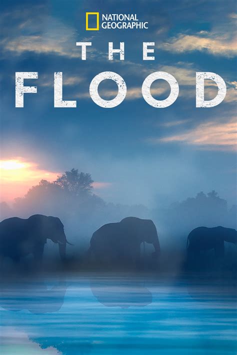 The Flood 2018 Posters The Movie Database TMDB