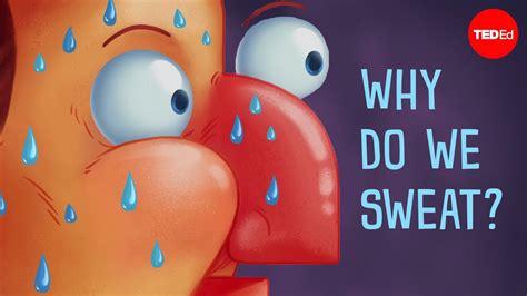 Why Do Our Bodies Make Sweat?