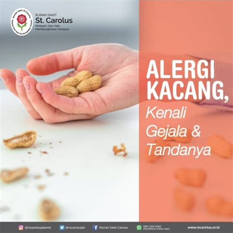 Alergi Kacang Kenali Gejala Dan Tandanya Rumah Sakit St Carolus