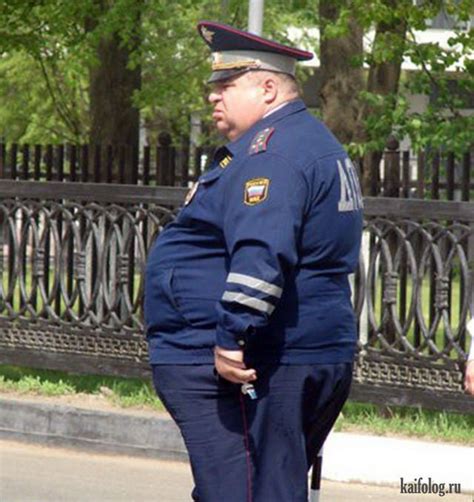 Прикольные толстяки (70 фото) | Humor, Chubby men, Memes