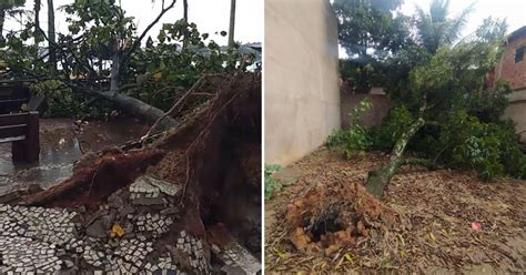 A Gazeta Temporal derruba 15 árvores e destelha casa na Grande Vitória