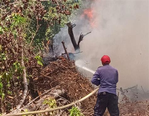 Kebakaran Meningkat Persen Damkar Kendari Catat Kasus Kebakaran