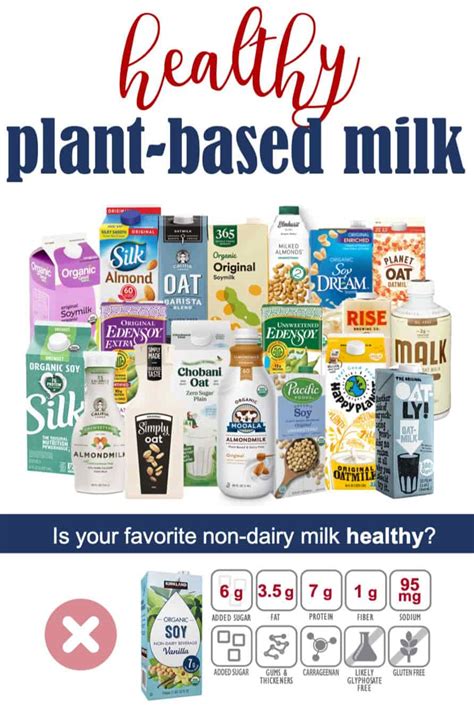 Choosing A Healthy Plant Based Milk Feed Them Wisely