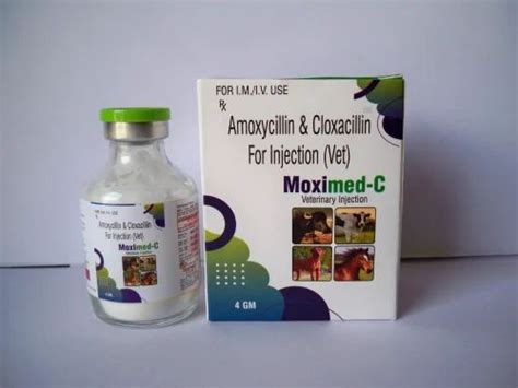 Amoxycillin Cloxacillin Injection 4 Gm At Best Price In Baddi ID