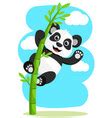 Cute Funny Baby Panda Hanging On A Bamboo Tree Vector Image