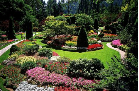 The basic landscape design ideas (color, form, line, scale, texture ...