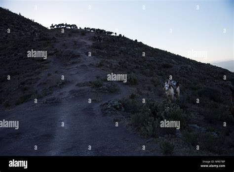 Real de 14 Stock Photo - Alamy