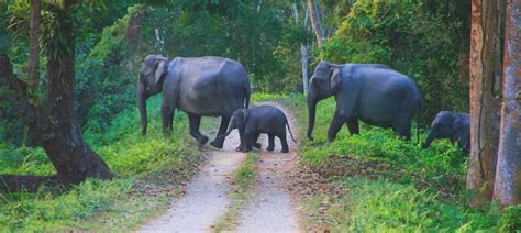 Wildlife Sanctuaries in Kerala