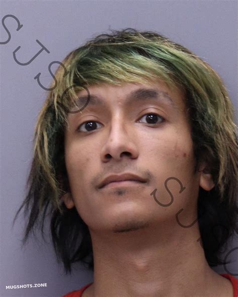 Lovgren Angel Israel St Johns County Mugshots Zone