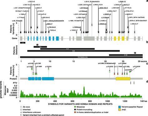 Clinical Delineation Sex Differences And Genotype Phenotype