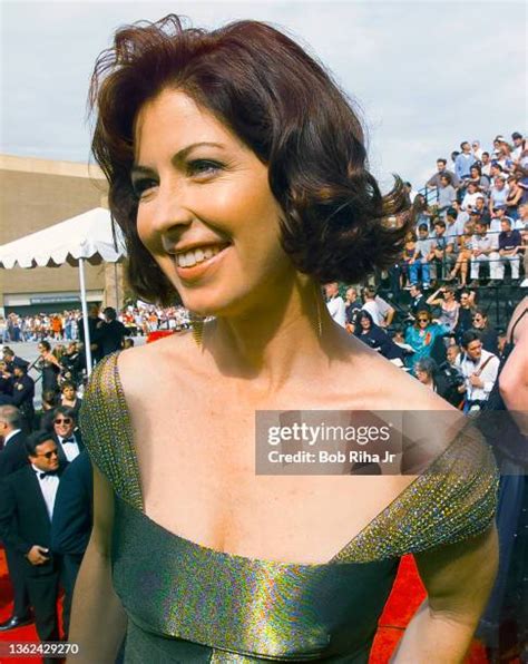 Dana Delany Photos and Premium High Res Pictures - Getty Images