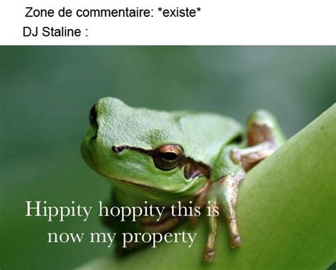 Hippity hoppity this is now OUR property - Meme by Yuugen-magan ...