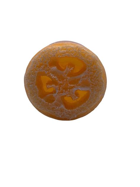 Tangerine Loofah Soap Bar Organically Bath And Beauty