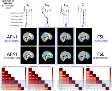 Isolating The Sources Of Pipeline Variability In Group Level Task Fmri