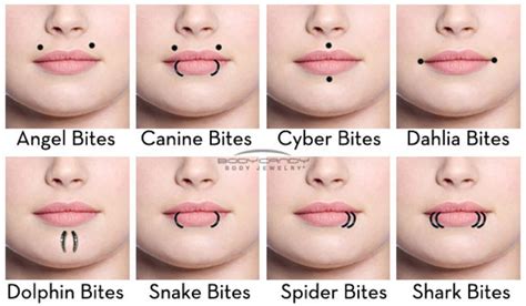 Mouth Piercings Diagram