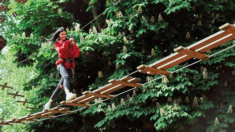 Go Ape Adventures High Ropes Near Edinburgh Dalkeith Country Park