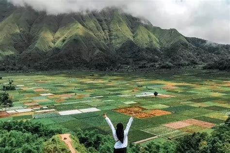 Wisata Ke Surga Cantik Di Kaki Gunung Rinjani Sembalun Yang