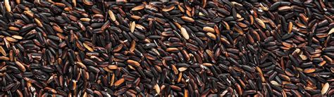 Know about the traditional rice varieties of Tamilnadu | UlaMart.com