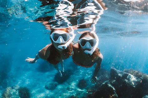 snorkel  whitehaven beach sailing whitsundays