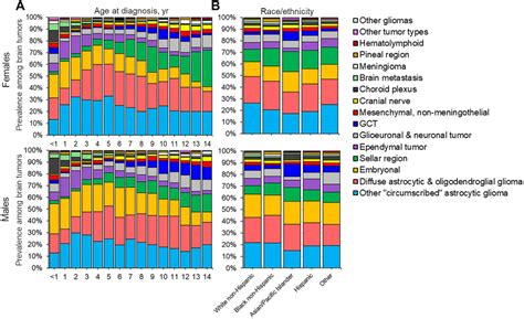 Overall Prevalence Of Pediatric Brain Tumor Types By Patient Sex Age