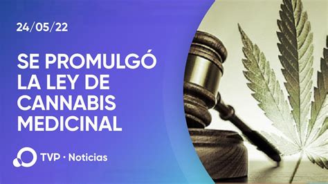 Promulgaron La Ley De Cannabis Medicinal Y C Amo Industrial Youtube