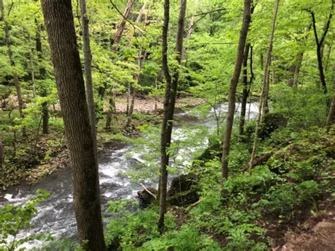 Best 10 Hiking Trails In Clifton Gorge State Nature Preserve Alltrails