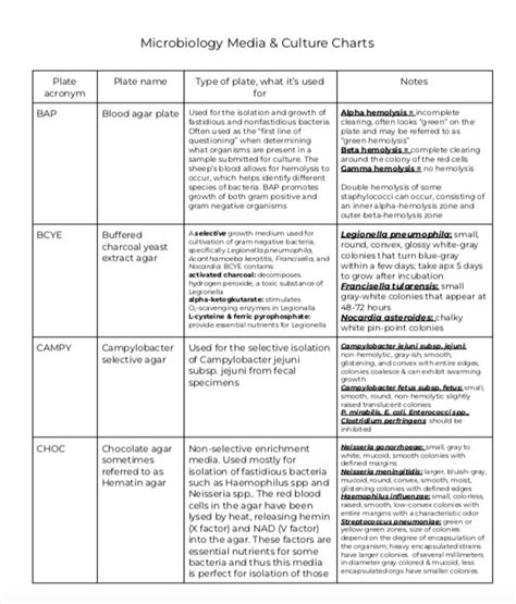 Microbiology Culture And Media Charts Mlt Mls Phd Clinical Etsy