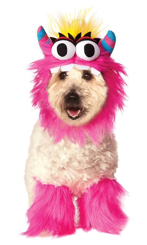 dog costume monster