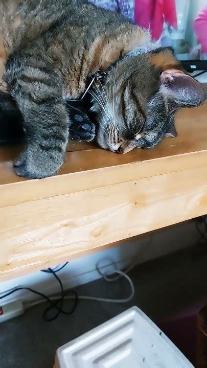 Катенька в полной отключке. - YouTube