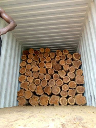 Red Ghana Teak Wood Round Logs At Rs 1500 Cubic Feet In Bengaluru ID