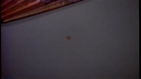 Marilyn Chambers All Nude Peep Show By Private Screenings HotMovies