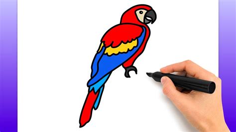 Como Dibujar Una Guacamaya Dibujos Faciles Youtube The Best Porn Website