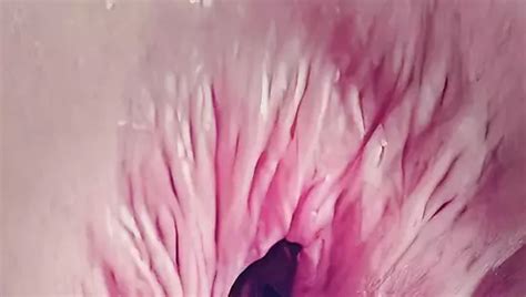 Merry Christmas Ass Butt Anal Sex Cum Nude Pics Xhamster