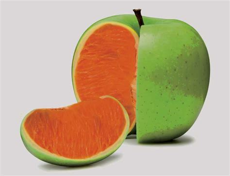 Apples Oranges Gay Marriage By Trigger Anderson Salvo Magazine