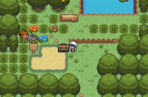 Pok Mon Hoenn Adventures Whack A Hack