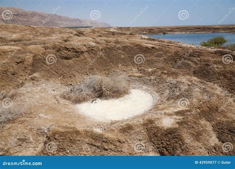 Sinkholes in Dead Sea stock image. Image of outlook, national - 42959077