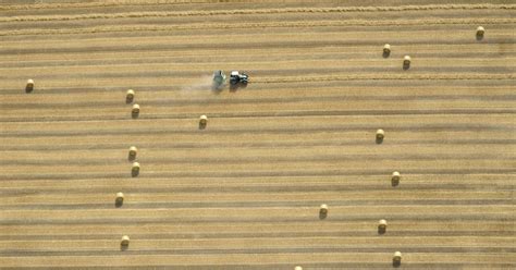 Making Hay In Germany
