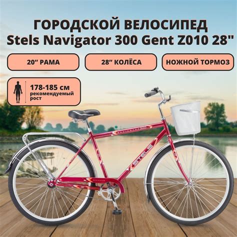 Городской велосипед Stels Navigator 300 Gent Z010, 28", малиновый ...